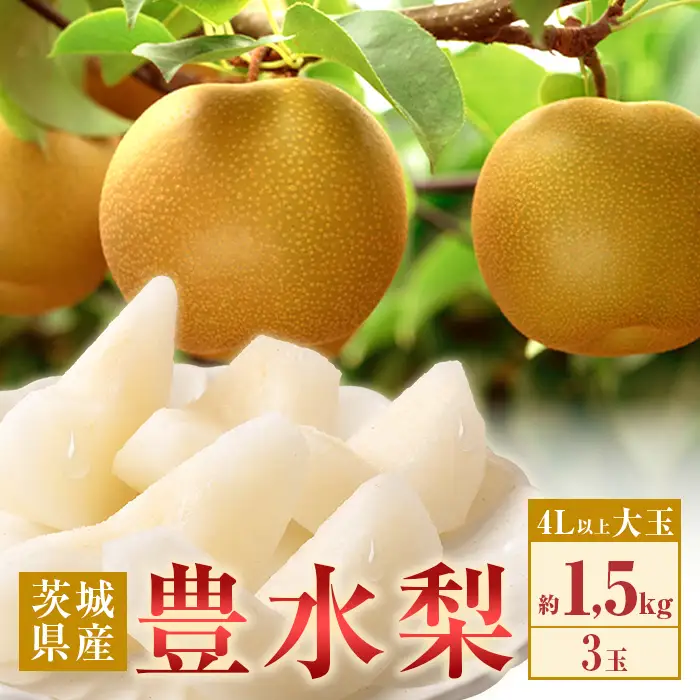 351 豊水梨 約1.5kg 3玉 4L以上 大玉 梨 なし 【先行予約 2026年 8月下旬ころより順次発送予定】