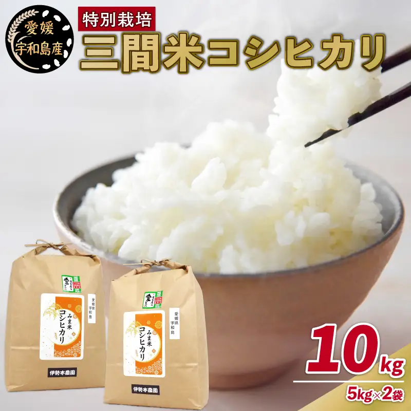 令和8年産 新米 特別栽培米 三間米 コシヒカリ 計10kg 5kg × 2袋 伊勢本農園 特別栽培 米 お米 おこめ ごはん こめ コメ ※ kome 白米 精米 お弁当 ブランド米 ふっくら ツヤツヤ ライス 農家直送 産地直送 数量限定 国産 愛媛 宇和島 G030-146002