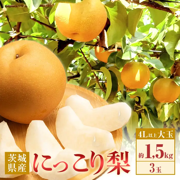 355 にっこり梨 約1.5kg 3玉 5L以上 大玉 梨 なし 先行予約 【2026年 10月上旬ころより順次発送予定】
