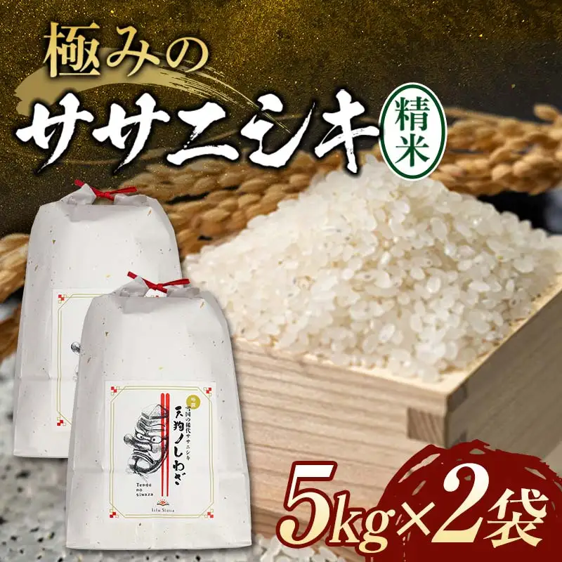 【令和8年産米先行予約】極みの ササニシキ 精米 10kg 新米  F3S-2875