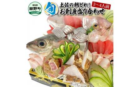 土佐のお刺身盛り合わせ 3～4人前程度 朝獲れ 海鮮【お刺身盛り合わせ】