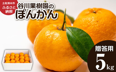 【令和９年１月下旬】ぽんかん5kg（谷川果樹園）デコポンの親  みかん 蜜柑 ミカン 不知火 しらぬい 柑橘 かんきつ ポンカン フルーツ オレンジ 果物 くだもの 果汁 甘い【R01602】