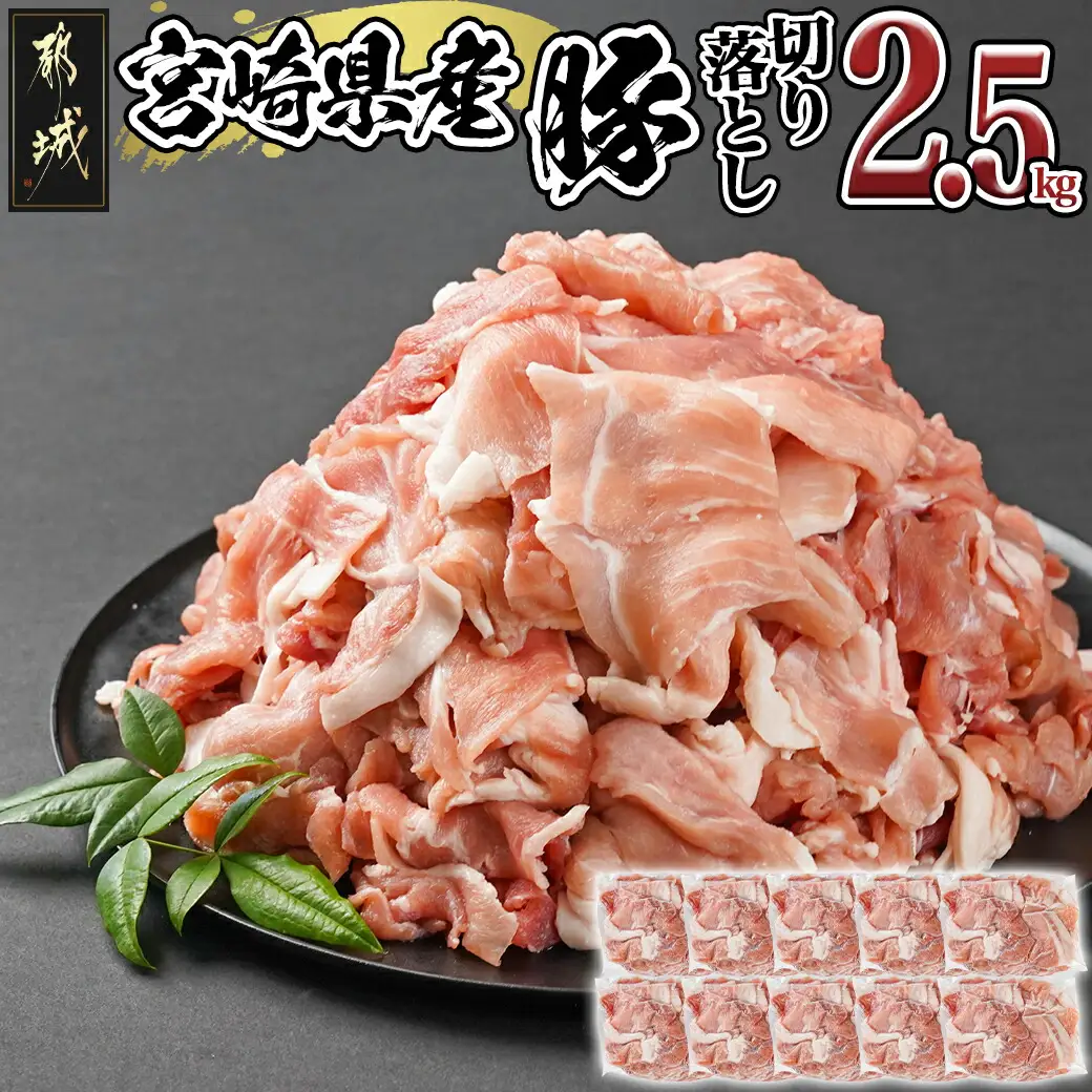 宮崎県産豚切り落とし2.5kg(真空)〔12-8407〕_(都城市) 豚肉 切り落とし (250g×10) 小分け 真空 宮崎県産豚2.5キロ 炒めもの 鍋物 しゃぶしゃぶ