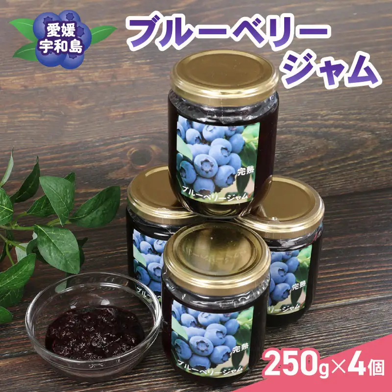 ブルーベリー ジャム 自家製 250g ×4個 計1kg 夢萬開 ブルーベリージャム berry 手作り 瓶 果物 くだもの フルーツ デザート ポリフェノール パン 朝食 ヨーグルト アイス お菓子 おすすめ アレンジ 農家直送 産地直送 数量限定 国産 愛媛 宇和島 J015-105002