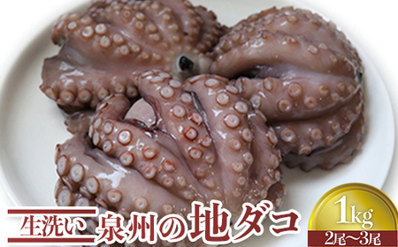 生洗い泉州の地タコ1kg(2尾～3尾) | タコ [0531]