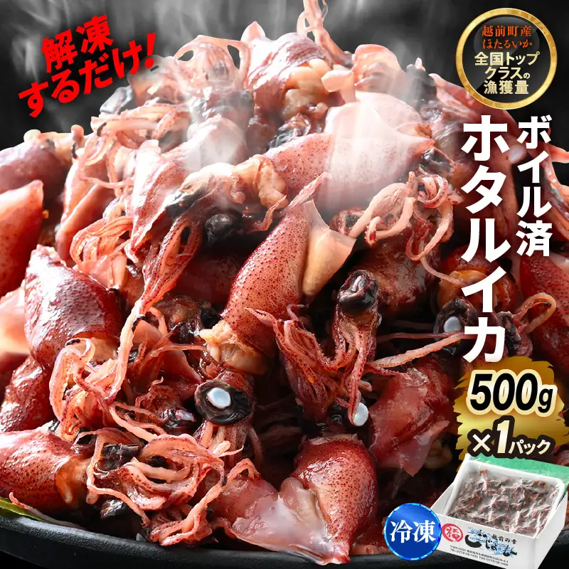 【解凍だけ】 越前町産 ボイル済 ホタルイカ 500g 急速凍結 冷凍 ほたるいか 全国トップクラス漁獲量【 日本海 福井県 海鮮 惣菜 6000円以下】 [e15-a052]