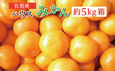 ハウスみかん 佐賀産 約 5kg 箱 _c-103