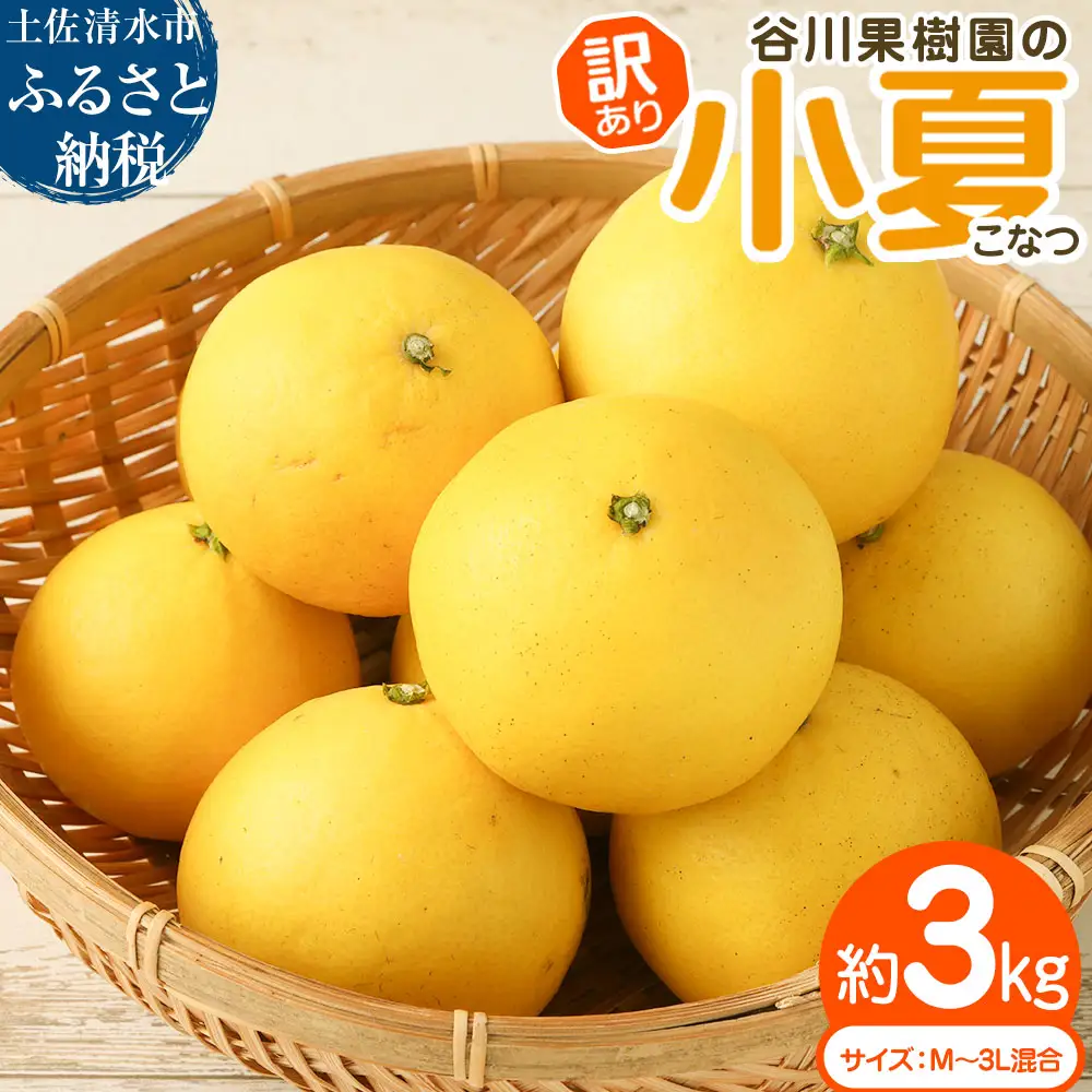 令和9年4月中旬以降発送【訳あり】谷川果樹園の小夏3kg 日向夏 みかん 柑橘 フルーツ こなつ ニューサマーオレンジ  果物 美味しい ワケあり 訳 自宅用 おやつ  高知 【R01146】
