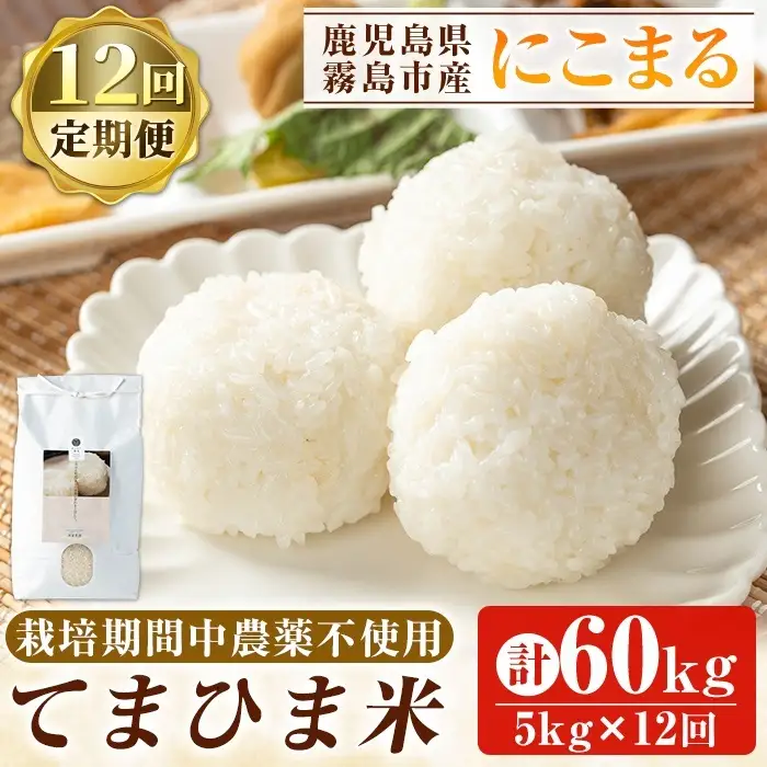 K-198-G 【12回定期便】令和7年産 てまひま米(品種:にこまる)(計60kg：5kg×12回)【末蜜農園】霧島市 お米 精米 白米 米 こめ コメ ご飯 ごはん 定期便 栽培期間中農薬不使用