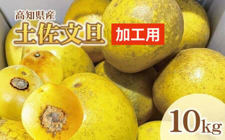 【先行予約】【訳あり】土佐文旦 加工用（M?5L混合）約10kg〈2027年2月中旬?発送〉/ 文旦 10キロ 約16?30玉 ぶんたん ブンタン 柑橘 果物 フルーツ【株式会社とさもん】 [BQAE034]