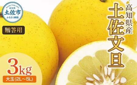 【先行予約】土佐文旦（大玉：2L~5L 混合）約3kg 〈2027年2月中旬〜発送〉/ 土佐文旦発祥の地 産地直送 家庭用 贈答用 文旦 3キロ 約4〜7玉 大玉 ぶんたん ブンタン 柑橘 果物【株式会社とさもん】 [BQAE042]
