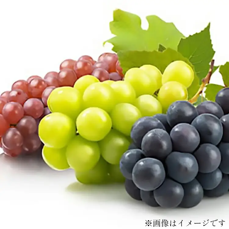 【期間限定発送】 ぶどう 4回 定期便 高畠町産 ぶどう満喫 セット