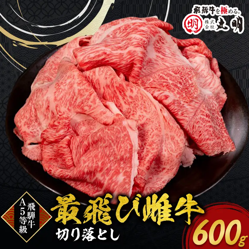 【最飛び雌牛】飛騨牛A5等級切り落とし　600g【配送不可地域：離島】【1520140】