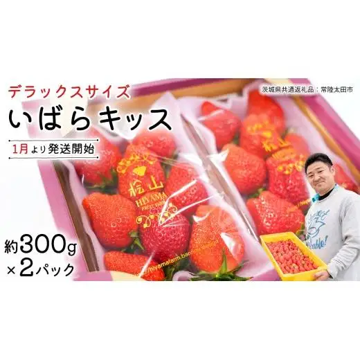 【 先行予約 】 いばらキッス ( 2パック )　特大 デラックスサイズ 【 2027年1月から発送開始 】 (常陸太田市 共通返礼品 ) 