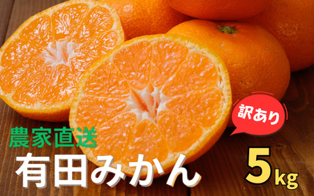 【訳あり】農家直送 有田みかん約5kg ご家庭用 サイズ混合 ※2026年11月中旬から2027年1月中旬までに順次発送予定（お届け日指定不可）※北海道・沖縄・離島への配送不可　訳ありみかん 温州みかん サイズ混合 有機質肥料100% ふるさと納税 柑橘 有田 産地直送 【nuk161E】