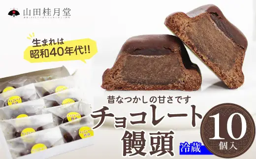 ＜山田桂月堂＞チョコレート饅頭　10個入り　45P023010【 山田桂月堂】