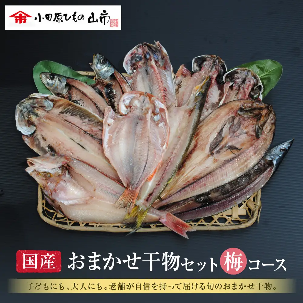 【国産】おまかせ干物セット 梅コース【お取り寄せ 海鮮 グルメ ギフト プレゼント 産地直送 産直 魚 手作り ひもの 詰め合わせ お中元 お歳暮 父の日 母の日 誕生日 自宅用 贈答品 贈答用 朝食 バーベキュー 神奈川県 小田原市 】