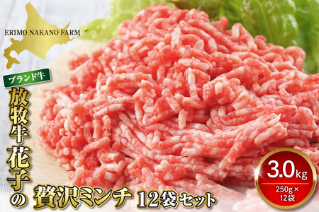 特用牛ミンチ！放牧牛花子の挽き肉3000ｇ！【er008-018】牛肉　ひき肉　挽肉　挽き肉　ミンチ　ミンチ肉　ハンバーグ　ミートソース　ミートボール