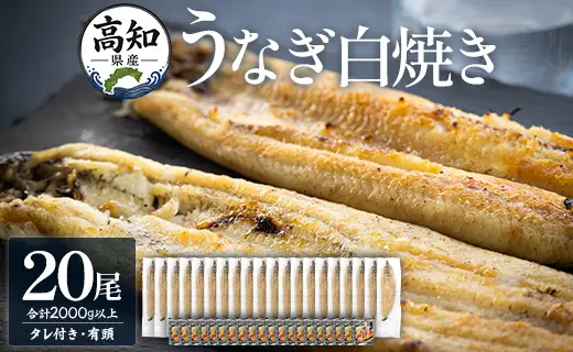 【数量限定】うなぎ 白焼き 2kg以上 20尾×100～120g - 蒲焼き タレ付き 国産 鰻 ウナギ 有頭 背開き つまみ ご飯のお供 老舗 土佐湾 吉川水産 高知県 香南市 冷凍 yw-0083