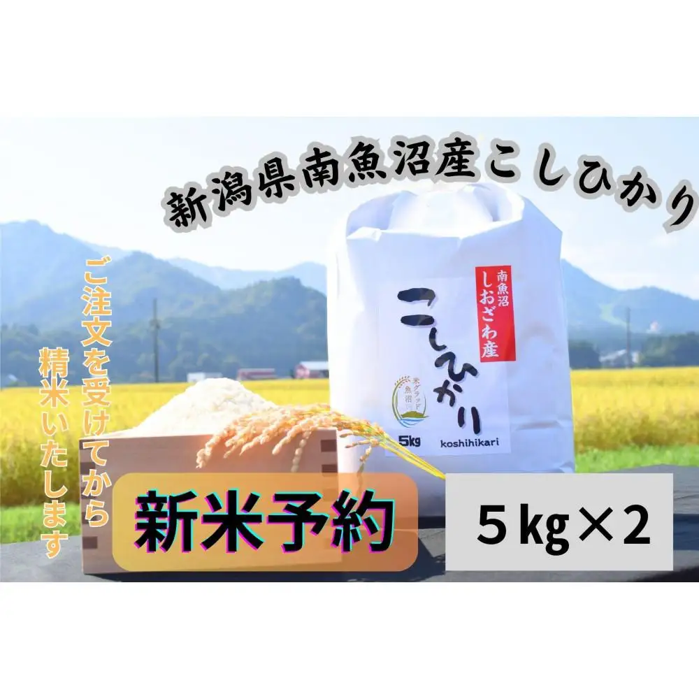 【令和8年産・新米予約】新潟県南魚沼市の豊かな自然が育んだ、極上のコシヒカリ　10kg【銘柄米 ブランド米 精米 こしひかり コシヒカリ 魚沼産 新潟米 産地直送 お米 米】【2026年9月下旬より1ヶ月以内に順次発送予定】