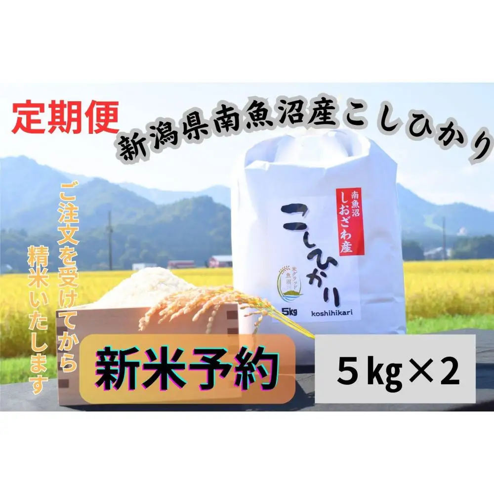 【令和8年産・新米予約・定期便】新潟県南魚沼市の豊かな自然が育んだ、極上のコシヒカリ　10kg×12か月【定期便 銘柄米 ブランド米 精米 こしひかり コシヒカリ 魚沼産】【2026年9月下旬より1ヶ月以内に順次発送予定】