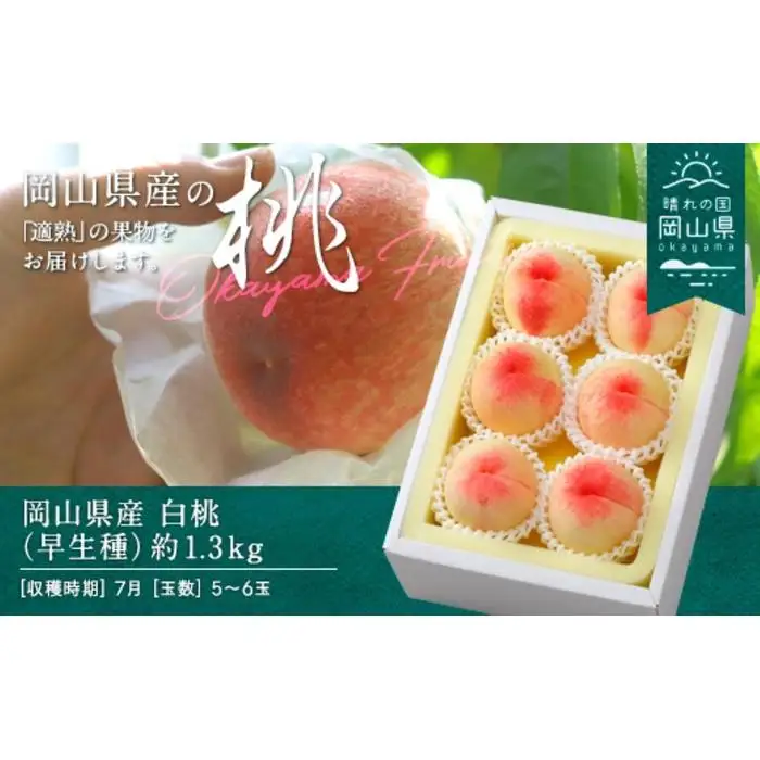 2027年 先行予約 白桃（早生種） 約1.3kg 5～6玉 クール便 岡山県産 白桃