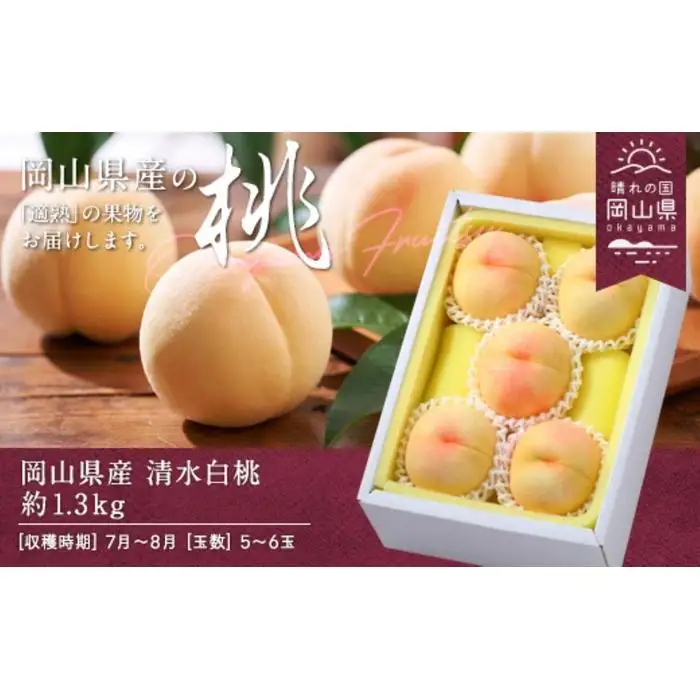 2027年 先行予約 清水 清水白桃 約1.3kg 5～6玉（クール便）岡山県産 白桃