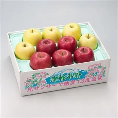 【令和8年産・先行予約】糖度13度選果 サンふじ＆王林 約2.5kg　鮮度保持剤・保存用ポリ袋付_果物・フルーツ りんご  リンゴ 林檎_【配送不可地域：離島・沖縄県】【1508209】