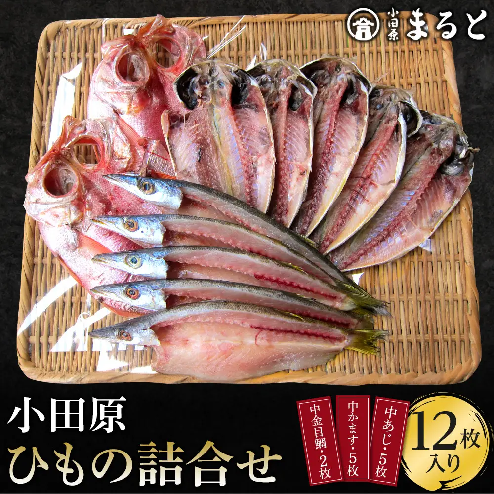 小田原ひもの詰合せ s45【ひもの】