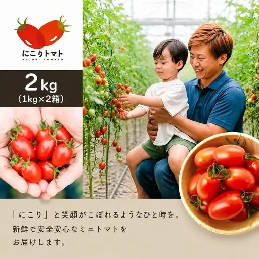 ミニトマ（にこりトマト）2kg｜みずもと農園