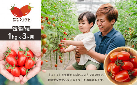 【 定期便 】 ミニトマト（にこりトマト）1kg×3ヶ月｜みずもと農園