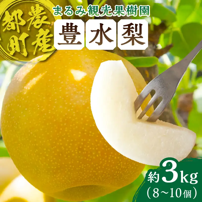先行予約≪期間限定≫まるみ観光果樹園の『豊水梨』(約3kg) なし 果物 フルーツ 天然 ミネラル栽培_T036-0015