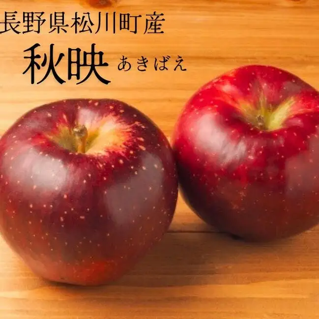 KR08 りんご 秋映（大玉）約5kg 贈答 / 2026年10月上旬頃～配送予定 // 長野県 南信州 松川町産 ギフト リンゴ 林檎 あきばえ 農家直送 農家支援 産地直送