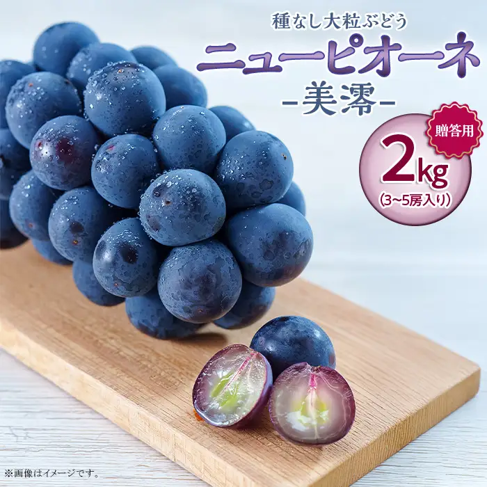 岡山県井原市美星町産 ニューピオーネ「美澪」 2kg箱（3～5房入り）贈答用【2026年8月下旬～9月中旬発送予定】