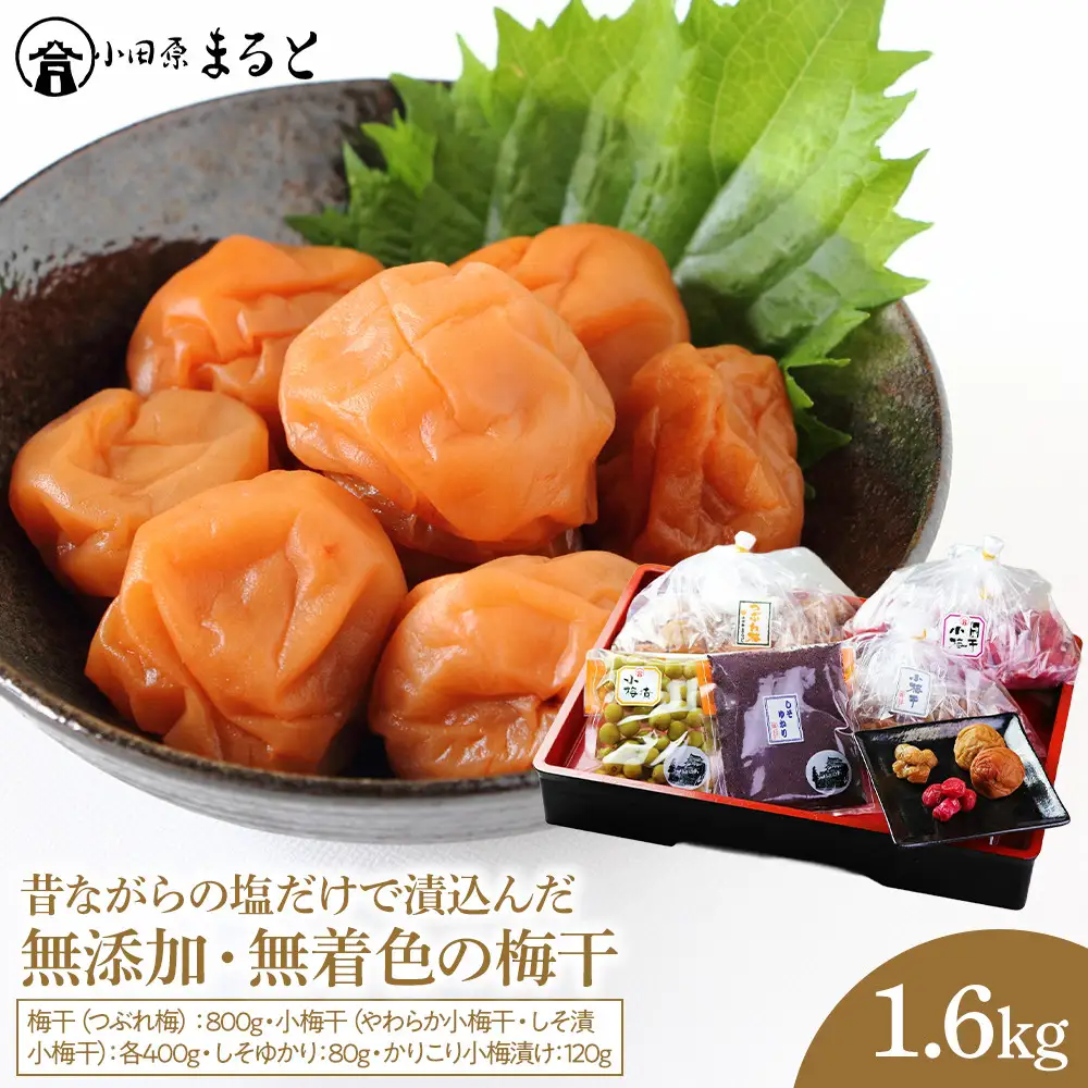 昔ながらの塩だけで漬込んだ無添加・無着色の梅干1.6kg【梅干 ウメボシ うめぼし】