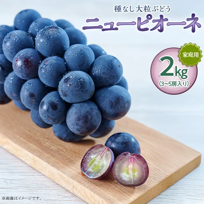 岡山県井原市美星町産 ニューピオーネ 2kg箱（3～5房入り） ご家庭用【2026年8月下旬～9月下旬発送予定】