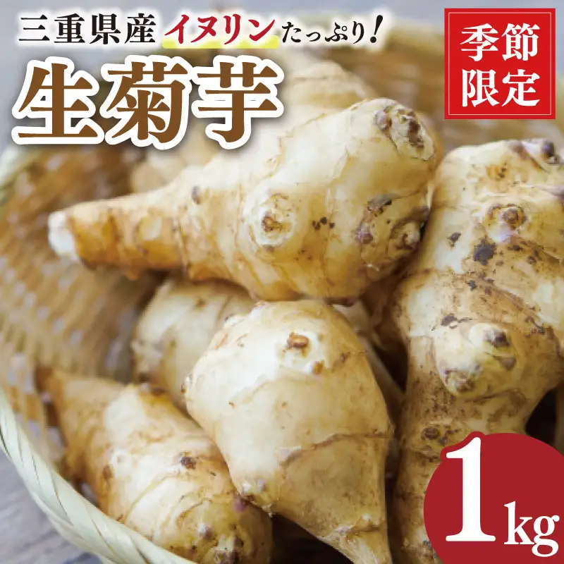 菊芋 1kg 生菊芋