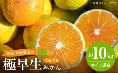 【2026年先行予約】和歌山県限定の極早生みかん 10kg (YN-26 大小混合)_EA6041
