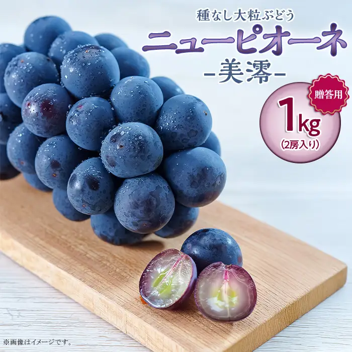岡山県井原市美星町産 ニューピオーネ 1kg箱（2房入り） ご家庭用【2026年8月下旬～9月下旬発送予定】