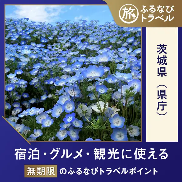 【茨城旅行・宿泊無期限】旅行ポイント茨城県ふるなびトラベルポイント