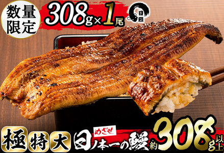 日ノ本一の鰻の蒲焼き＜極特大＞1尾(約308g以上) うなぎ 鰻 ウナギ 国産 鹿児島県産 九州産 蒲焼き 冷凍 うな重 ひつまぶし a5-281