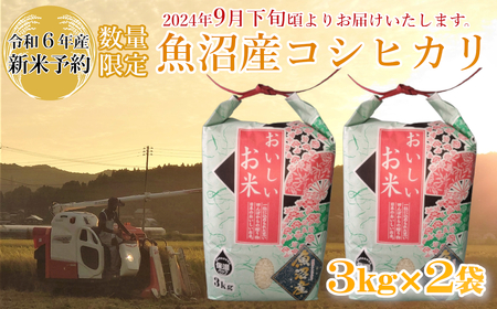 ※使用しない M14P234 【令和6年産 新米予約】《数量限定》令和6年産 魚沼産コシヒカリ3kg2袋 精米（宮内農園）早期受付 2024年9月下旬頃から発送開始 白米 魚沼 米
