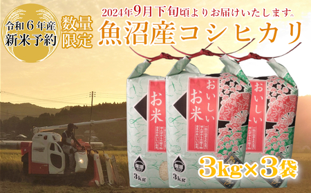 ※使用しない M21P239 【令和6年産 新米予約】《数量限定》令和6年産 魚沼産コシヒカリ3kg×3袋 精米（宮内農園）早期受付 2024年9月下旬頃から発送開始 白米 魚沼 米