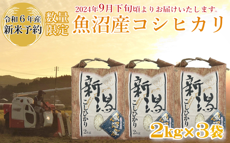 ※使用しない M14P235 【令和6年産 新米予約】《数量限定》令和6年産 魚沼産コシヒカリ2kg×3袋 精米（宮内農園）早期受付 2024年9月下旬頃から発送開始 白米 魚沼 米