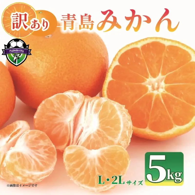 みかん【2027年1月上旬から発送】 訳あり 青島 みかん 5kg