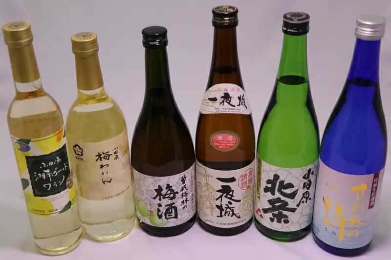 城下町小田原の日本酒3本と厳選3本　味くらべ６本！【酒】