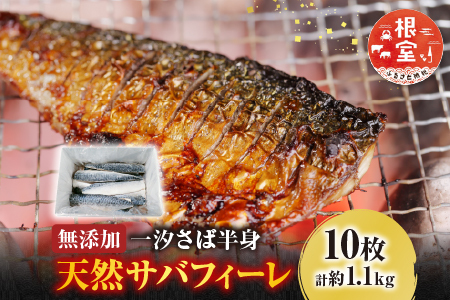 無添加天然サバフィーレ10枚 G-14022