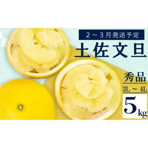 【2027年2月上旬から発送】 文旦 高知 5kg 秀品 3L 4L 早期予約 