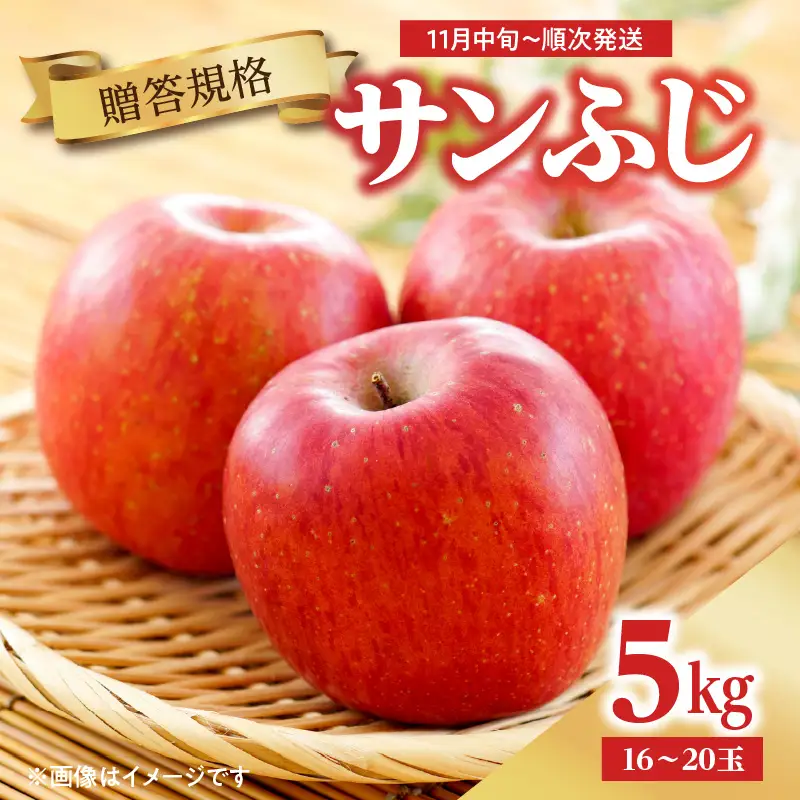 《先行受付》【贈答規格】サンふじ 5kg（16玉～20玉）【2026年11月中旬頃～順次発送予定】 043-005