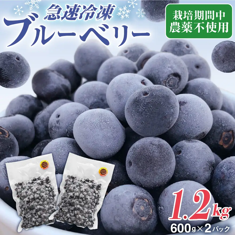 【2026年7月より順次発送】栽培期間中農薬不使用！急速冷凍ブルーベリー 1.2kg 【JAほたるの里】_HA1517 | ベリー フルーツ